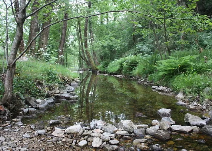 Mas Des Nabieres Saint-Martial (Gard)